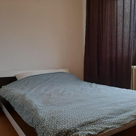 Ultracentral Apartment Bulevard Regele Mihai Nr 10, Sc A Ap 16 蒂米什瓦拉 外观 照片