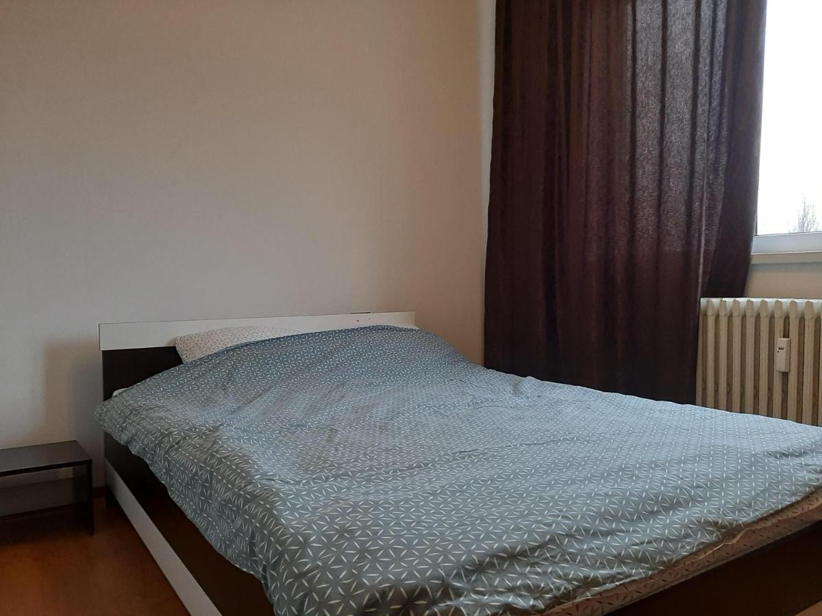 Ultracentral Apartment Bulevard Regele Mihai Nr 10, Sc A Ap 16 蒂米什瓦拉 外观 照片