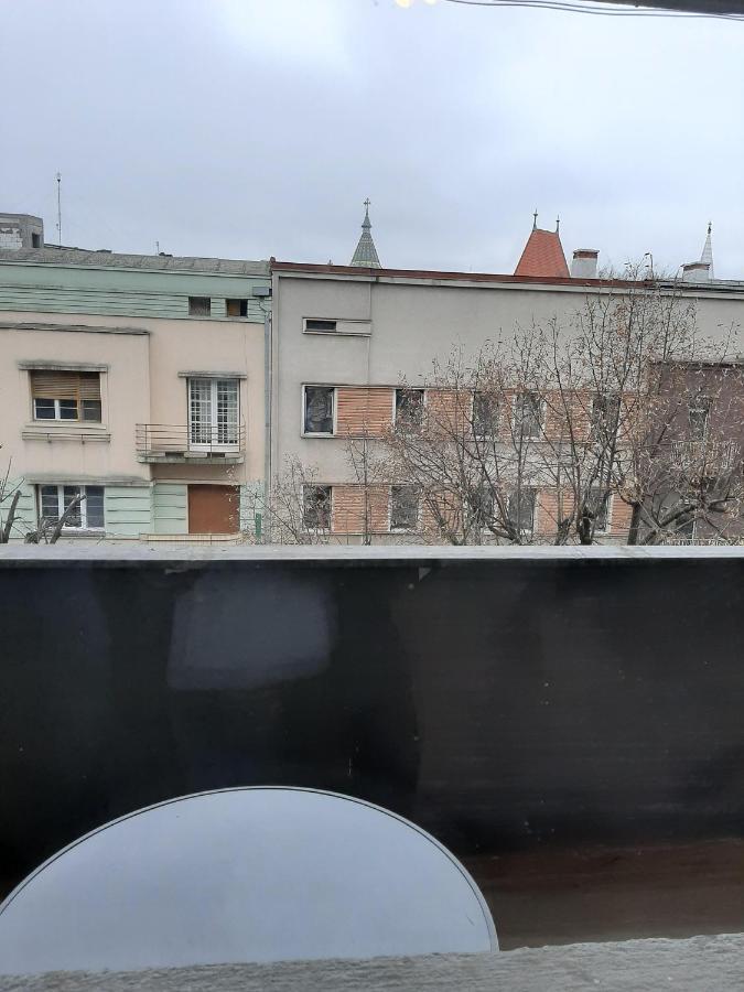 Ultracentral Apartment Bulevard Regele Mihai Nr 10, Sc A Ap 16 蒂米什瓦拉 外观 照片